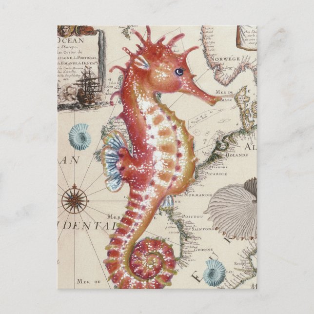 Seahorse Shabby Vykort (Framsida)