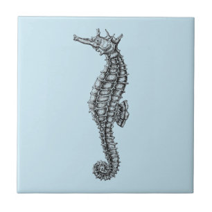"SEAHORSE" SJÖLIV CERAMIC TILE KAKELPLATTA