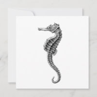 SEAHORSE SJÖLIV FLAT-KORT