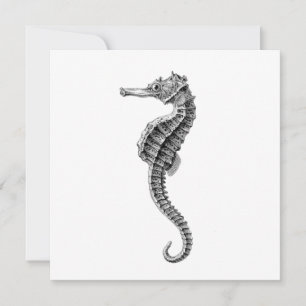 SEAHORSE SJÖLIV FLAT-KORT