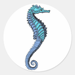 Seahorse Sticker Runt Klistermärke
