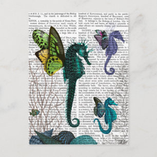 Seahorse Trio med Vingar Vykort