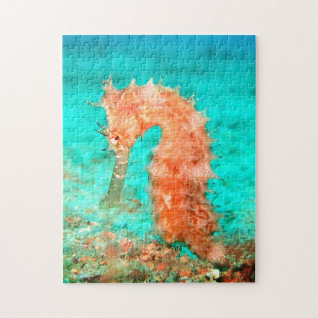 Seahorse tropical carribean turquoise orange  pussel (Vertikal)