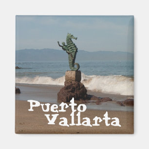 Seahorse ut ur vatten; Mexico souvenir Magnet