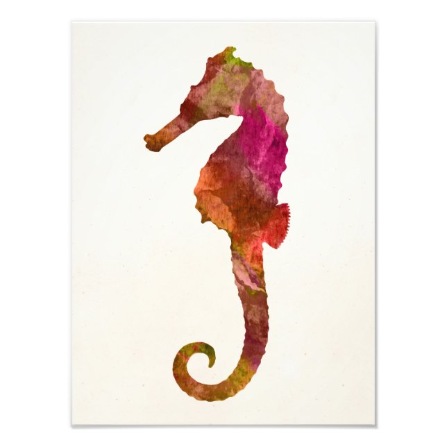Seahorse Watercolor Silhouette Sea Horse Rosa Fototryck (Framsidan)
