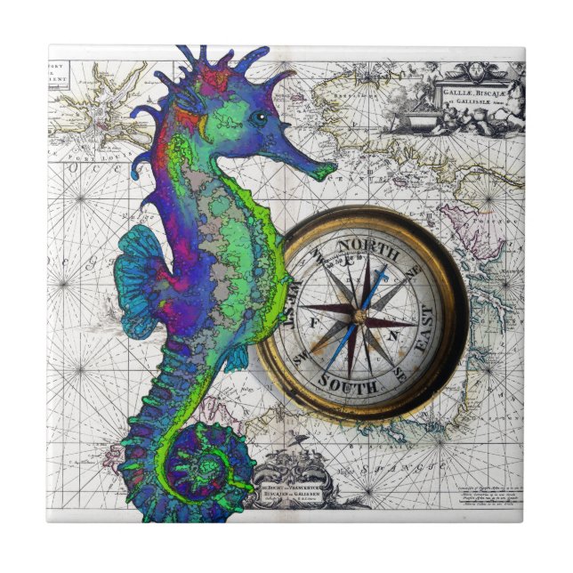 SeahorsekompassCollage Kakelplatta (Framsidan)