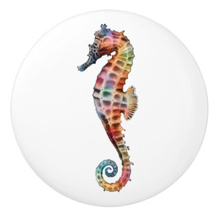 Seahorseregnbåge Knopp