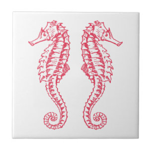 Seahorses Kakelplatta