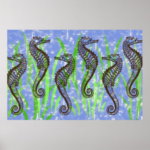 SEAHORSESaffisch Poster