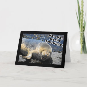 Seal Laughing Ha Ha Grattis på födelsedagen Kort