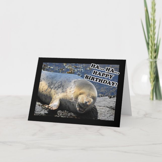 Seal Laughing Ha Ha Grattis på födelsedagen Kort (Framsida)