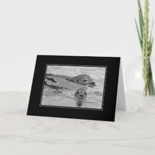 Seal mor och hennes baby säl kort