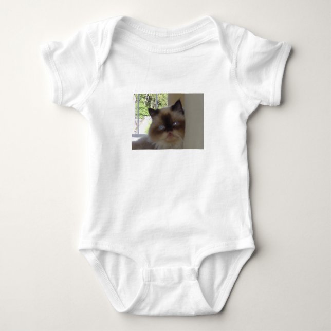 seal point himalayan tee (Framsida)