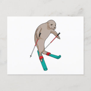 Seal Skier Ski Vykort