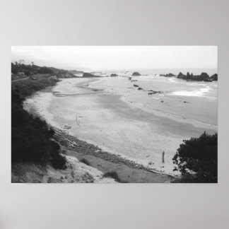 Seal Sten-Duotone Poster