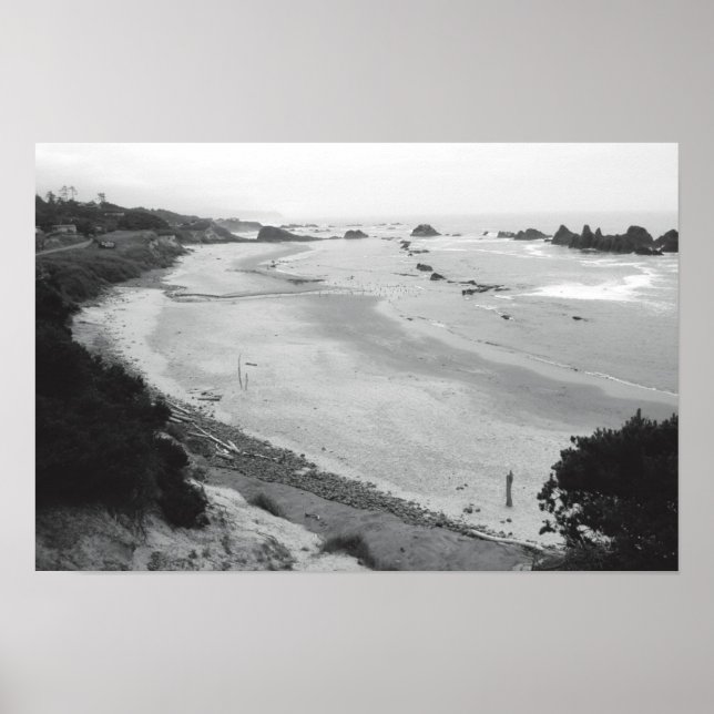 Seal Sten-Duotone Poster (Framsidan)