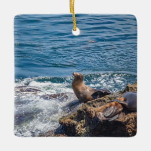 Seal Sten vid La Jolla Beach i San Diego Julgransprydnad Keramik