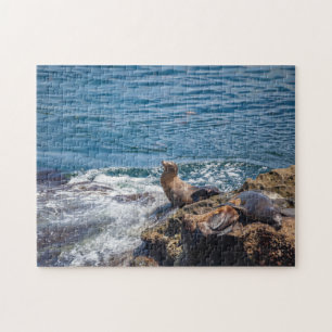 Seal Sten vid La Jolla Beach i San Diego Pussel