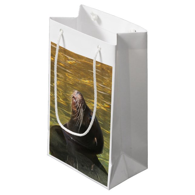 Sealion (Framsidan Vinklad)