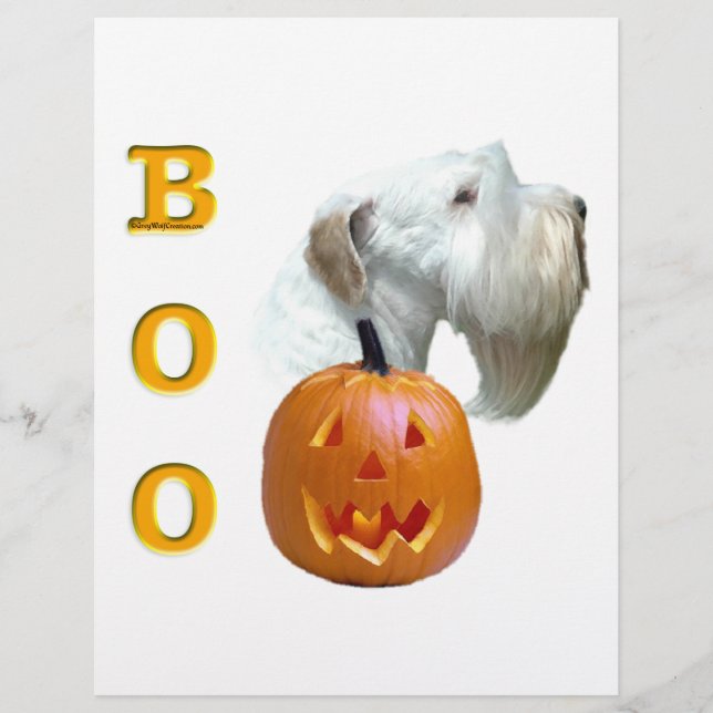 Sealyham Terrier Boo (Framsida)