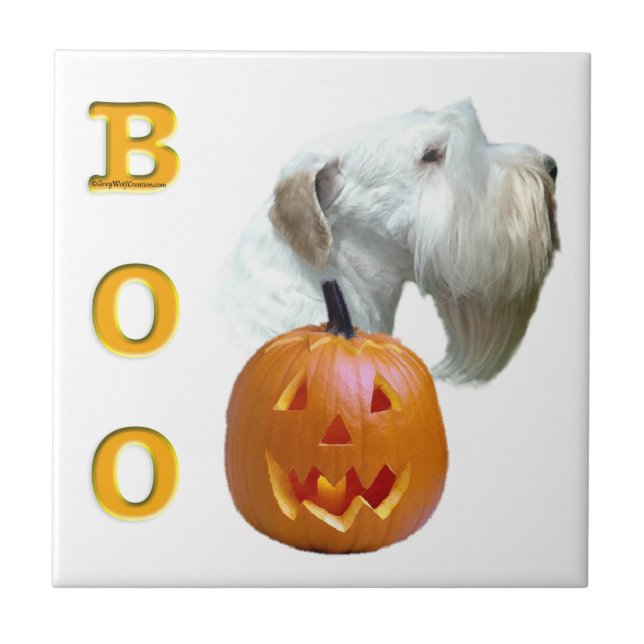 Sealyham Terrier Boo Kakelplatta (Framsidan)