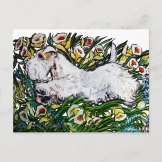 Sealyham Terrier Daffodils Vykort