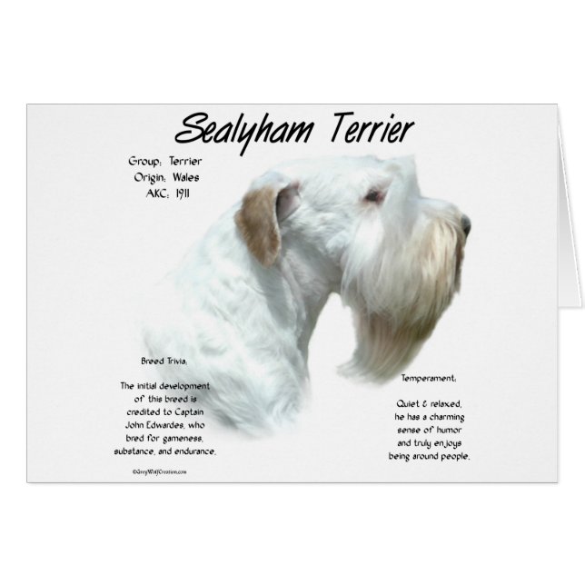 Sealyham Terrier Historik Hälsningskort (Framsidan Horizontal)