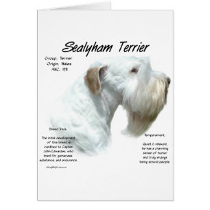 Sealyham Terrier History Design Hälsningskort