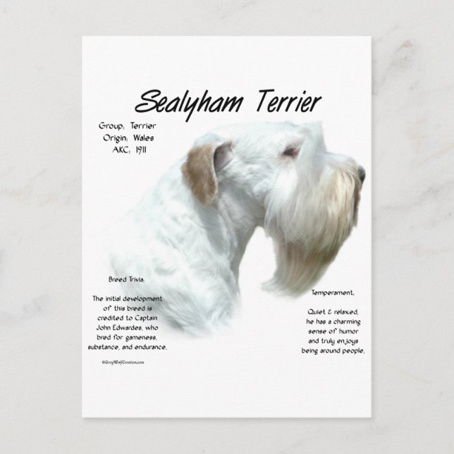Sealyham Terrier History Design Vykort (Framsida)