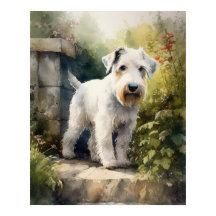 Sealyham Terrier Hund Konsttryck Poster