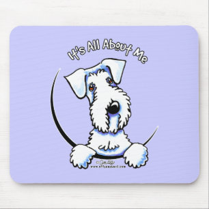 Sealyham Terrier IAAM Musmatta