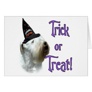 Sealyham Terrier Trick Hälsningskort