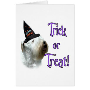 Sealyham Terrier Trick Hälsningskort