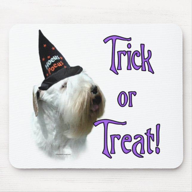 Sealyham Terrier Trick Musmatta (Framsidan)