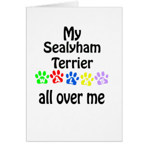 Sealyham Terrier Walks Design Hälsningskort