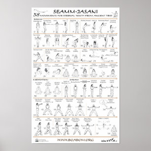 Seamm-Jasani: 58 Rörelser för Eternt Ungdom Poster