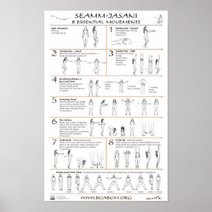 Seamm-Jasani: 8 Essential Rörelser Poster