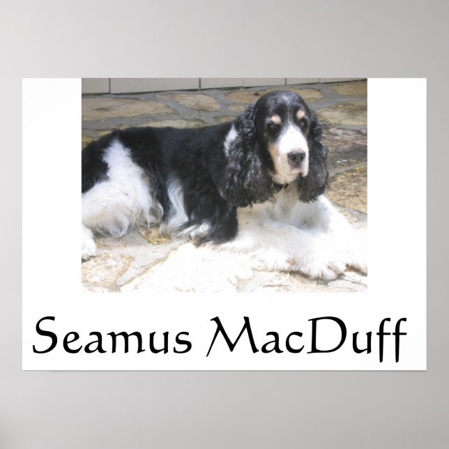 Seamus MacDuff Poster (Framsidan)