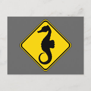Searhorse Crossing! Vykort