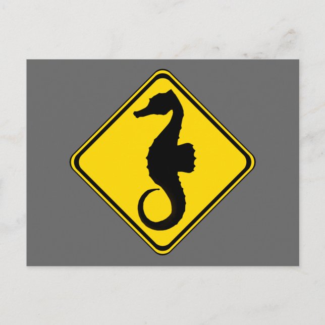 Searhorse Crossing! Vykort (Framsida)