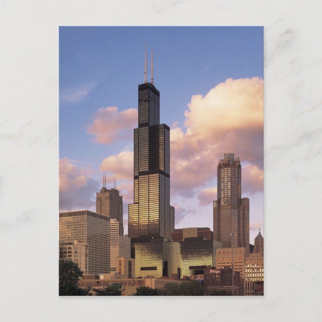 Sears Tower vykort - det Willis torn - Chicago (Framsida)