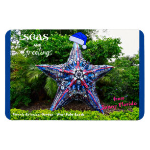 Seas och Hälsning från Sunny Florida-jul Magnet