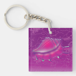 Seashell
