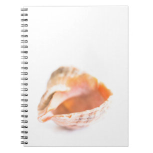 Seashell Anteckningsbok