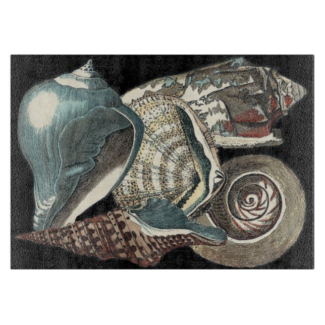 Seashell Anthology (Framsidan)