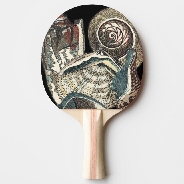Seashell Anthology Pingisracket (Framsidan)