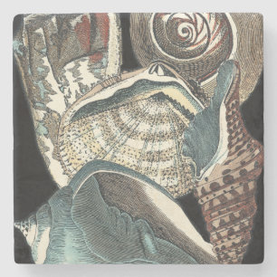 Seashell Anthology Underlägg Sten