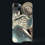 Seashell-antologi<br><div class="desc">Den här teckningen av Vision Studio fångar några av de bästa havslivets. Skaffa den här ritade biet av teckningar av de här olika formerna och storlekarna på Conch-snäckor. Det här är en unik biet av konstverk av Seashell Anthology delarare.</div>