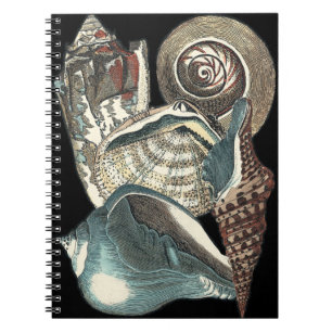 Seashell-antologi Anteckningsbok Med Spiral