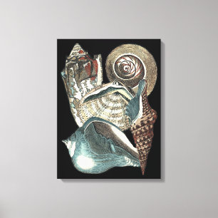 Seashell-antologi Canvastryck